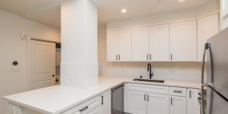 737 PINE Gallery 20