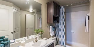 Century Palm Bluff Gallery 33