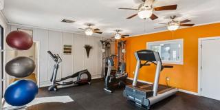 Ashford Place Gallery 15