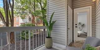 Rosslyn Heights Gallery 29