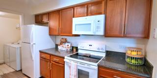 TGM Springbrook Gallery 3