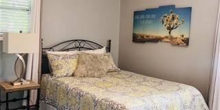 2524 DRAYTON Drive Gallery 11