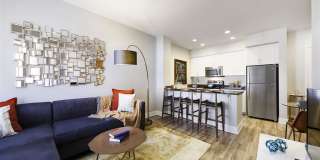 Alder Apartments Gallery 16