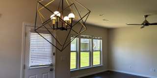 1009 Magnolia Blossom Ln Gallery 89