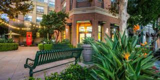 Paragon at Old Town Gallery 5