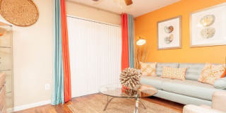 Palmetto Place Gallery 29