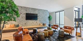 Array La Mesa Gallery 15