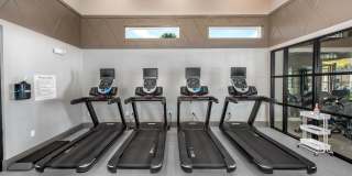 Olympus Emerald Coast Gallery 24