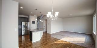 4 Bedroom Home in Wellington Gallery 16