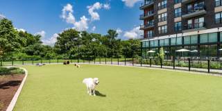 Modera Riverview Gallery 13