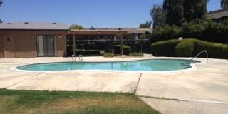 Great Condo in Nice Community with Pool Gallery 1