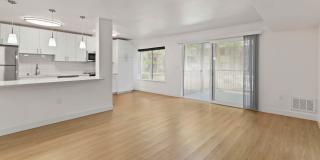 Lorien Ivy Apartments Gallery 4