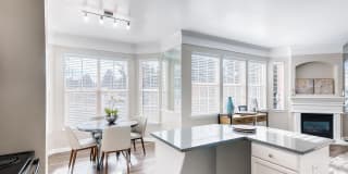 Lowry Park Gallery 7