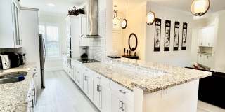 249 Hampton Place Gallery 32