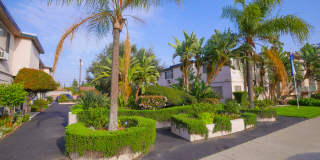 6944-6954 Coldwater Canyon Ave. Gallery 26