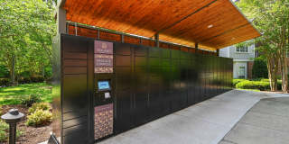 Solano at Chapel Hill Gallery 20