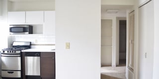 Alexander Gallery 23