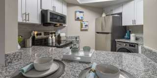 Nova at Trinity Gallery 4