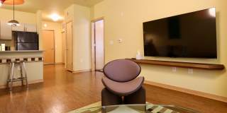 Settlement Place Gallery 364