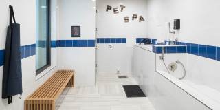 Alexan Lower Greenville Alexan Lower Greenville Gallery 40