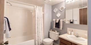 University Park Apartments Gallery 6