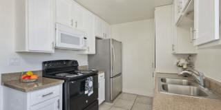 University Palms Gallery 2