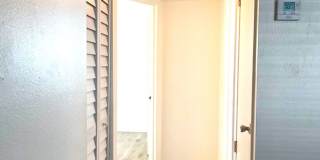 Palm Gardens Community Gallery 15
