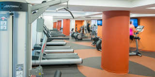 The Berkshire Gallery 13