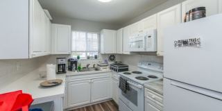 29d Paterson Ave Gallery 1