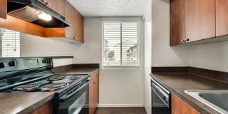 Addison Apartments at the Park Gallery 20