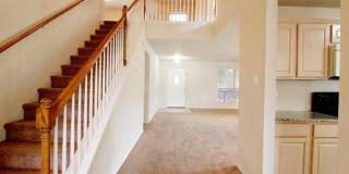 7326 Tamburo Gallery 15