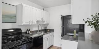 ReNew Springfield Gallery 1