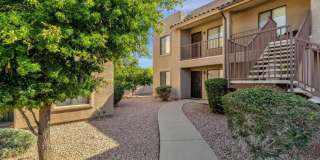 13636 N SAGUARO Boulevard Gallery 8