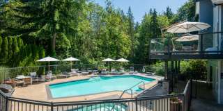 Lakemont Orchard Gallery 18