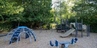 Knolls at Inglewood Gallery 17