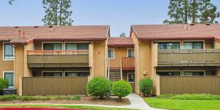 Citrus Place Gallery 59