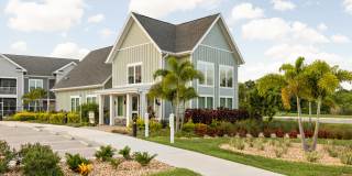 Palm Grove Gallery 39