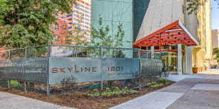 Skyline 1801 Gallery 1