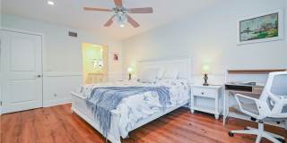 15 Camphor S Gallery 2