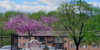 Hewitt Gardens Gallery 83