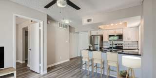 Rise on Cactus Gallery 3