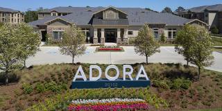 Adora at Rosehill Gallery 1