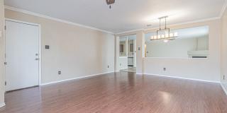 11244 Vollmer Ln Gallery 9