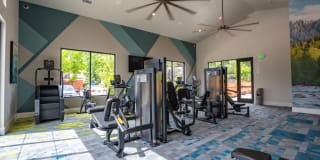 The Hills Gallery 17