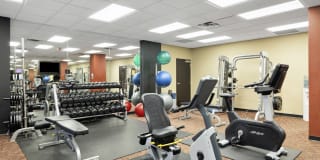 The Edina Towers Gallery 24