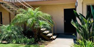 4125 Mount Alifan Place Gallery 1