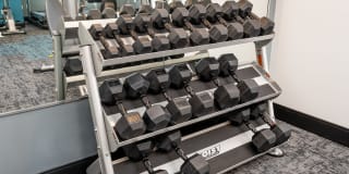 Meridian at the Port Gallery 46