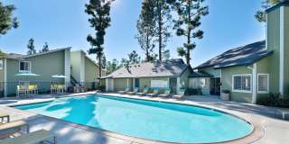 Forest Glen Gallery 19