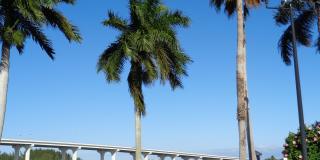 Vero Beach Rentals. Vero Beach Homes For Rent. Vero Beach Rent, LLC and Property Management Company Gallery 48