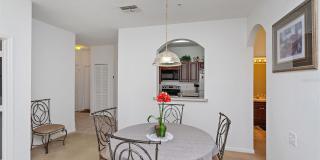 2307 SILVER PALM DR Gallery 9